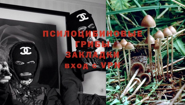мяу мяу кристалл Баксан