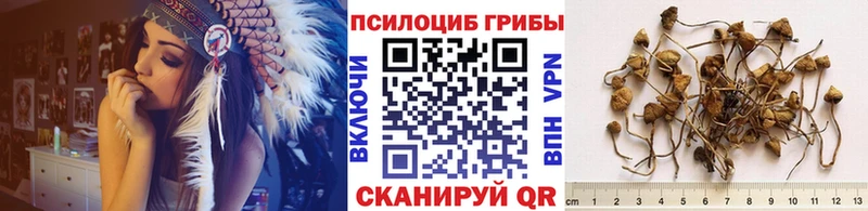 хочу Бикин mega как войти Галлюциногенные грибы Cubensis